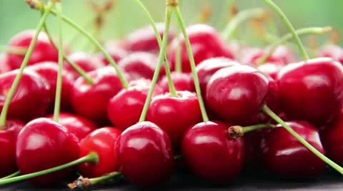 Cherry Stock Footage 21241526