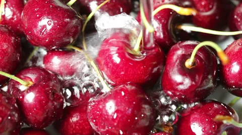 Cherry Stock Footage 27067125