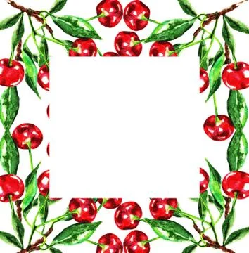 Cherry, frame, watercolor Stock Illustration