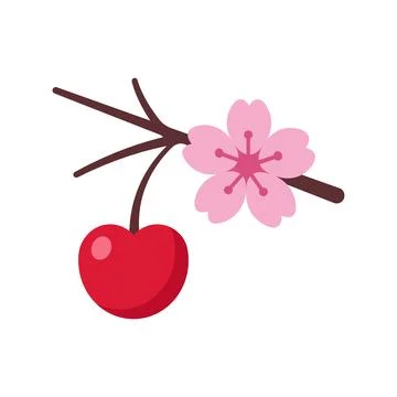 Cherry Fruit and Blossom Vector Illustration Illustrazione stock