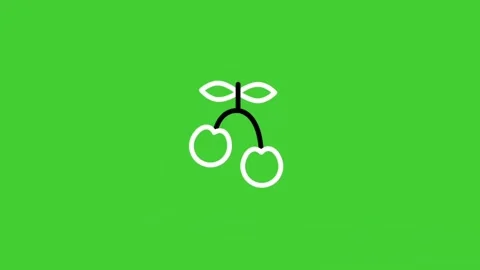 Cherry fruit animated icon on green screen background Stock Footage 314731584