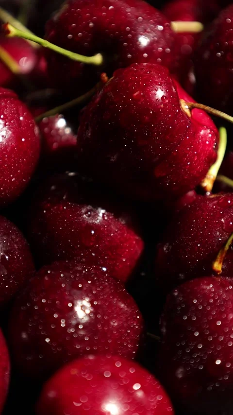 Cherry fruit, closeup of a cherries Stock Footage 297953894
