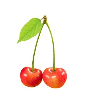 Cherry fruit with green leaf isolated on white background Фото