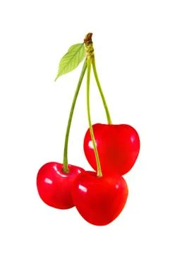 Cherry fruit with green leaf isolated on white background Stock Photos