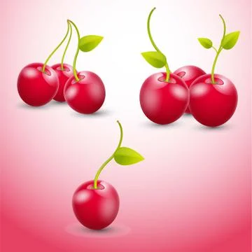 Cherry fruit Stock Illustration