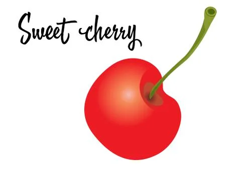 Cherry fruit isolated on white background. Vector Illustration Stock Illustration