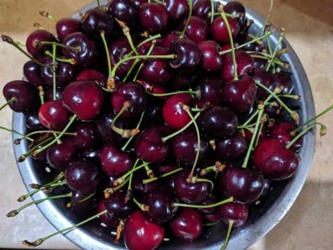 Cherry fruit. Stock Photos