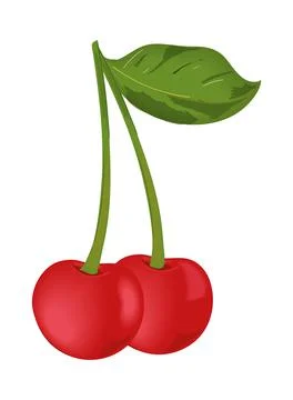 Cherry fruit realistic Stock Illustration