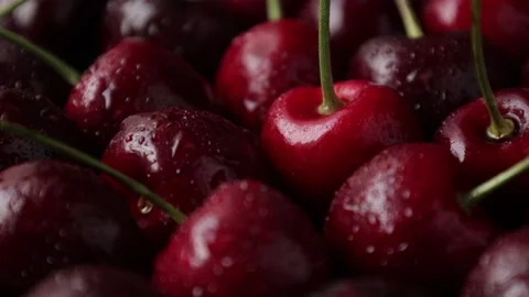 Cherry fruit, ripe cherries fruit Stock Footage 268125488