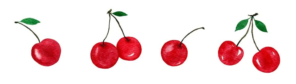 Cherry fruit set isolated on white Illustrazione stock