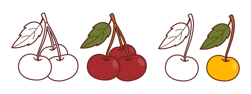 Cherry Fruit Set. Red and Yellow Cherries. Isolated Colored and Outline Ske.. Stock Illustration