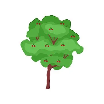 Cherry fruit tree growing producing fresh berries Stock Illustration