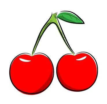 Cherry Fruit Vector Stock Illustration