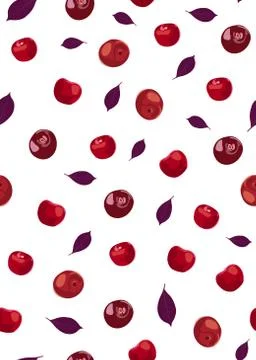 Cherry fruits seamless pattern with red violet leaves, Fresh organic food, Re 스톡 일러스트