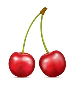 Cherry fruits on white Stock Illustration