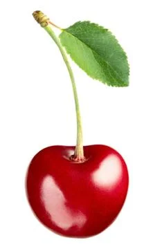 Cherry with green leaf Stock Photos