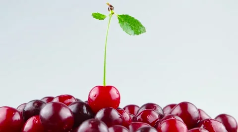 Cherry with green leaf rotates on a mound of cherries Stock Footage 52231381