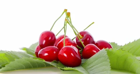 Cherry on Green Leaves Video stock 132378556