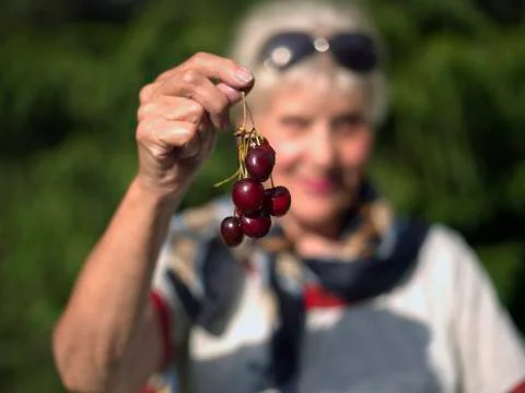 Cherry In Hand 写真素材