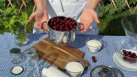 Cherry Harvest Preparation Stock Footage 313364077