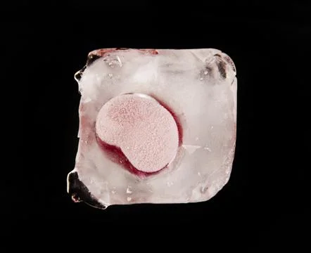 Cherry in ice on a black background Stock Photos