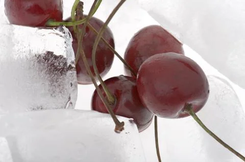 Cherry in ice close up Stock Photos