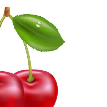 Cherry Stock Illustration