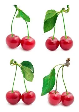 Cherry Stock Illustration