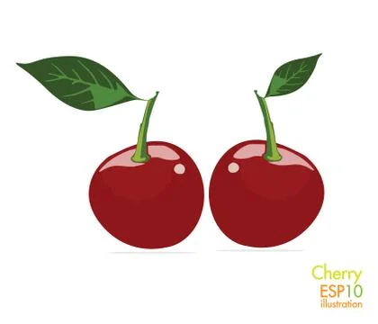 Cherry Stock Illustration