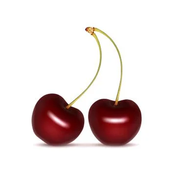 Cherry Stock Illustration