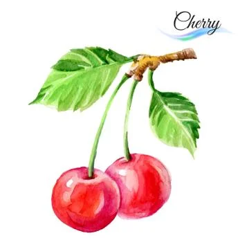 Cherry Illustrazione stock