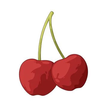 Cherry illustration 스톡 일러스트