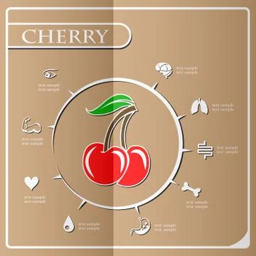 Cherry Infographics, Fruit. Vector illustration. Stock Illustration