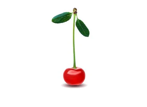 Cherry isolated. One cherry with leaf on white background. With clipping path Stock Photos