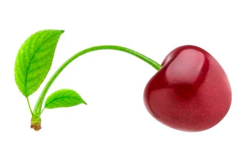 Cherry isolated. One red cherry isolated on white background with clipping path Foto stock