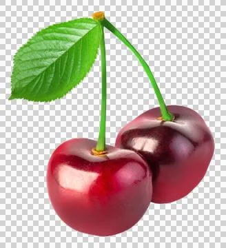 Cherry isolated Stock Photos