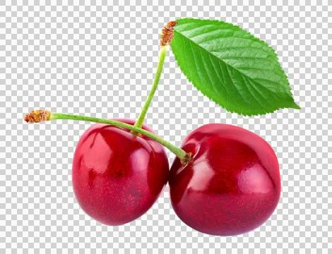 Cherry isolated Stock Photos