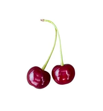 Cherry isolated. Red berry on white background Stock Photos