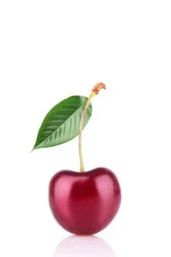 Cherry isolated on white background Stock Photos