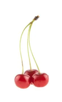 Cherry isolated on white background Stock Photos