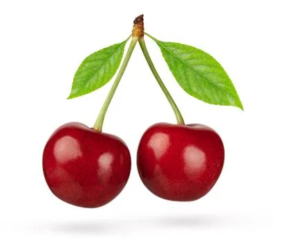 Cherry isolated on white background Stock Photos