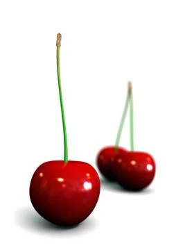 Cherry isolated on white Stock Illustration