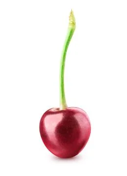 Cherry isolated on white Stock Photos