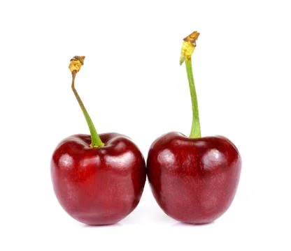 Cherry isolated on white Stock Photos