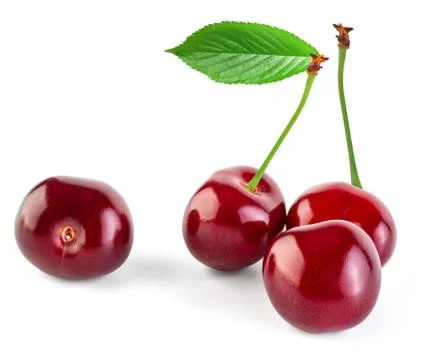 Cherry isolated on white Stock Photos