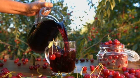 Cherry juice on the background of growing cherries. Stock-Footage 79612182