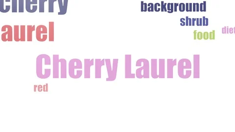 Cherry Laurel Word Cloud Animated Isolated On White Video stock 103097338