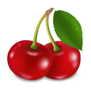 Cherry with leaf Stock Illustration