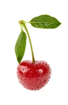 Cherry with leaf isolated on white background. Stock Photos