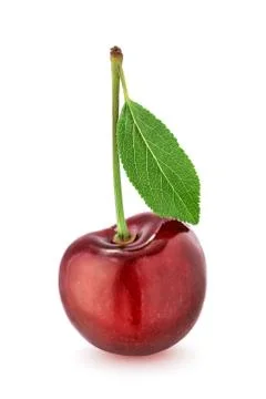 Cherry with leaf isolated on white background Stock Photos